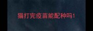 猫打完疫苗能配种吗
