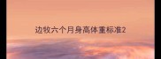 边牧六个月身高体重标准