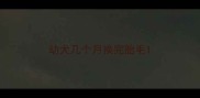 幼犬几个月换完胎毛
