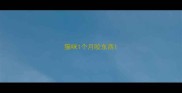 猫咪1个月咬东西