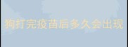 狗打完疫苗后多久会出现