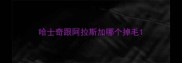 哈士奇跟阿拉斯加哪个掉毛