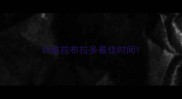 训练拉布拉多最佳时间