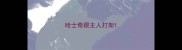 哈士奇跟主人打架