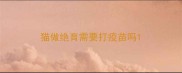 猫做绝育需要打疫苗吗