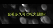 金毛多久可以吃火腿肠
