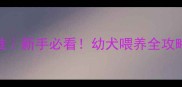 三个月巴哥体重标准新手必看幼犬喂养全攻略附超全发育表