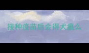 接种疫苗后会得犬瘟么