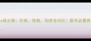 萨摩耶vs哈士奇价格性格饲养全对比新手必看养狗指南