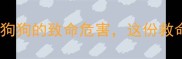 警惕巧克力对狗狗的致命危害这份救命指南必须收藏