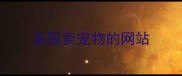 美国卖宠物的网站