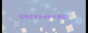 拉布拉多光抖什么原因