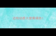 边牧幼崽大便黄褐色