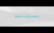 狗狗什么时候长的最快