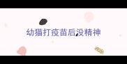 幼猫打疫苗后没精神