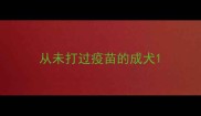 从未打过疫苗的成犬