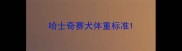 哈士奇赛犬体重标准