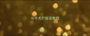 斗牛犬打疫苗教程