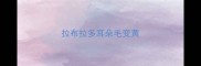 拉布拉多耳朵毛变黄