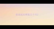 泰迪尴尬期是几个月