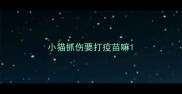 小猫抓伤要打疫苗嘛