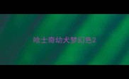 哈士奇幼犬梦幻色