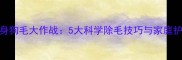 金毛犬全身狗毛大作战5大科学除毛技巧与家庭护理全攻略