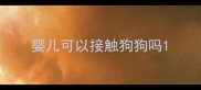 婴儿可以接触狗狗吗