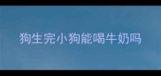 狗生完小狗能喝牛奶吗