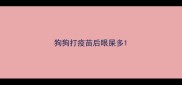 狗狗打疫苗后眼屎多