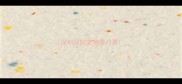 深圳国际宠物展门票