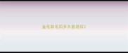 金毛剃毛后多久能适应