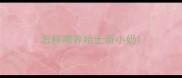 怎样喂养哈士奇小奶