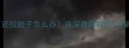泰迪狗吐了还拉肚子怎么办资深兽医教你3步紧急处理法