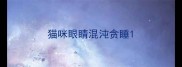 猫咪眼睛混沌贪睡