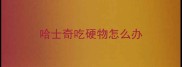 哈士奇吃硬物怎么办