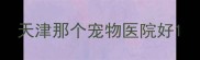 天津那个宠物医院好