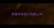刚拿回来的小狗晚上叫