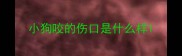 小狗咬的伤口是什么样