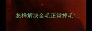 怎样解决金毛正常掉毛