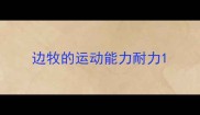 边牧的运动能力耐力
