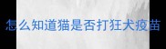 怎么知道猫是否打狂犬疫苗