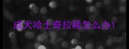 成犬哈士奇拉稀怎么办
