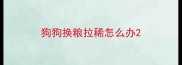 狗狗换粮拉稀怎么办