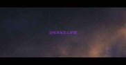 边牧耳朵怎么护理