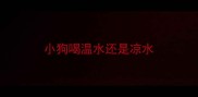 小狗喝温水还是凉水
