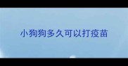 小狗狗多久可以打疫苗