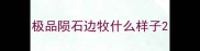 极品陨石边牧什么样子