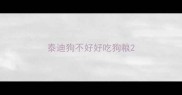泰迪狗不好好吃狗粮