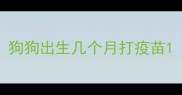 狗狗出生几个月打疫苗